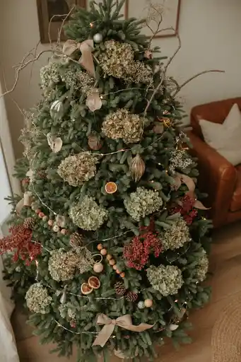 8+ Nature-Inspired Elegance